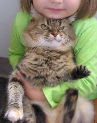 Сергей Викторович ♪♫ Rhythm King ♫ ♪ | Одесса