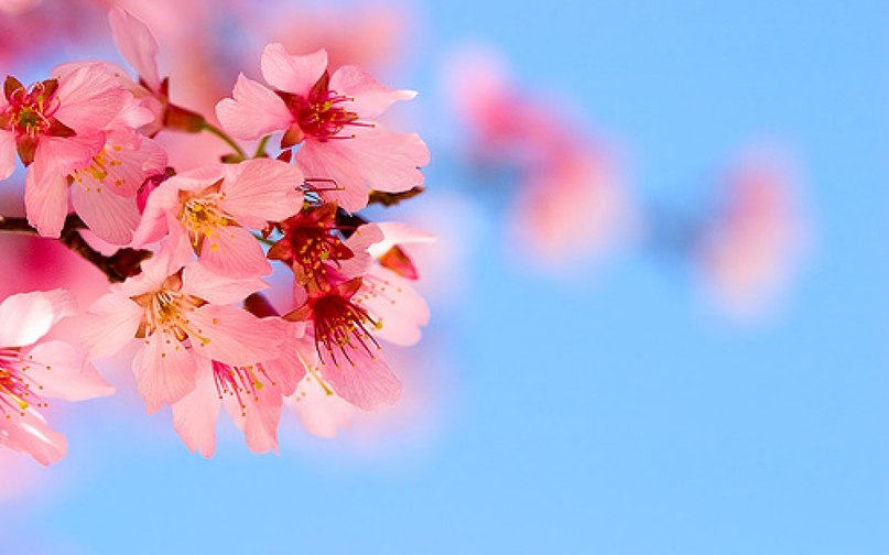 Светлана Лигостаева | Донецк