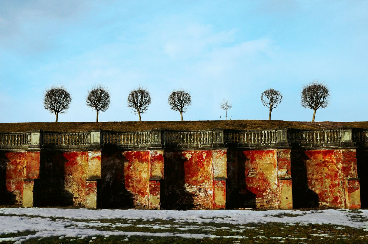 Елена Дубровина | Санкт-Петербург