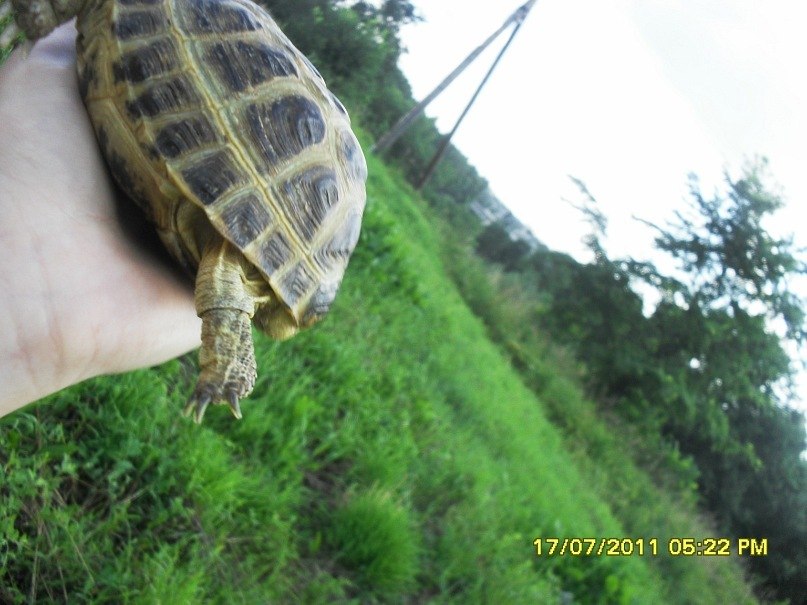 Виталий Якушев CD_КАЙФУЙ | Витебск