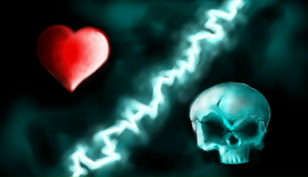 №8, Денис Тарасенко №8, Денис Тарасенко