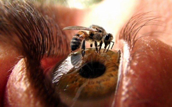 Олег Родякин | Балашиха