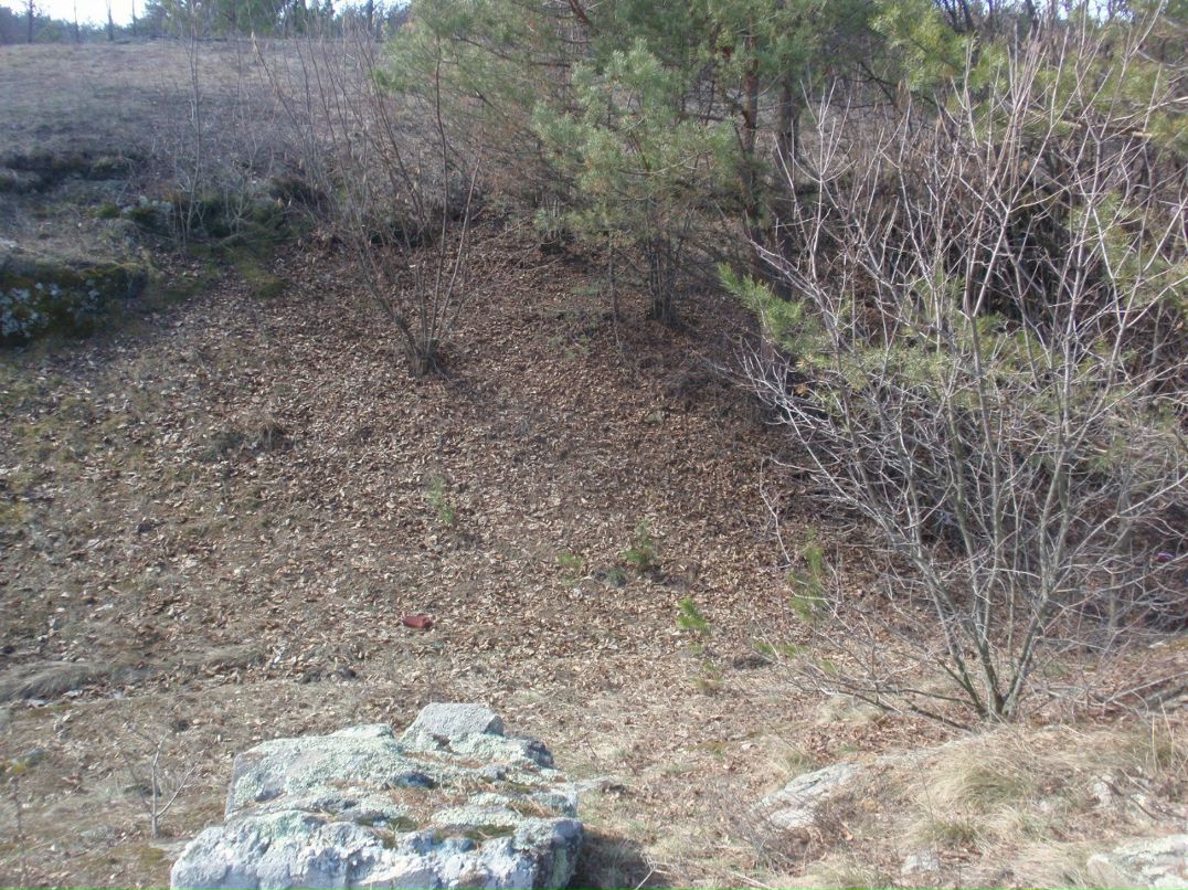 Борис Блаженний | Киев