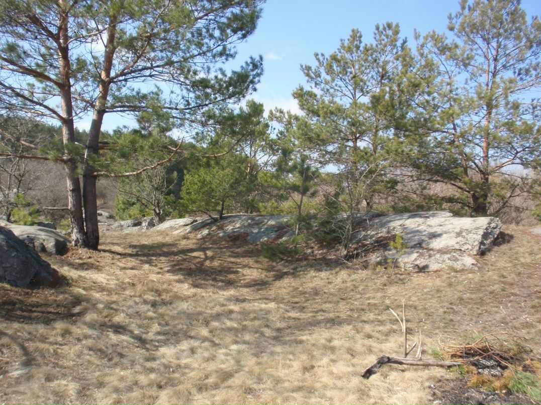 Борис Блаженний | Киев