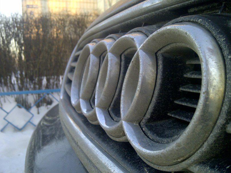 Алексей Дуплищев | Дмитров