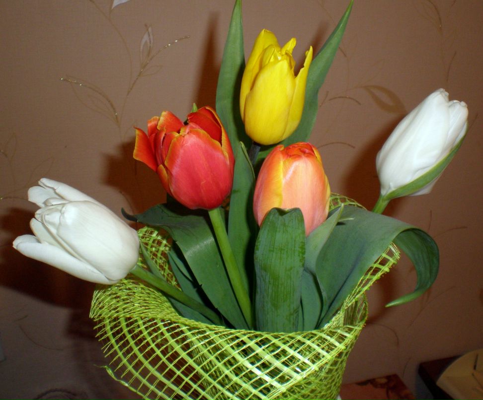 Галина Языкова | Альметьевск