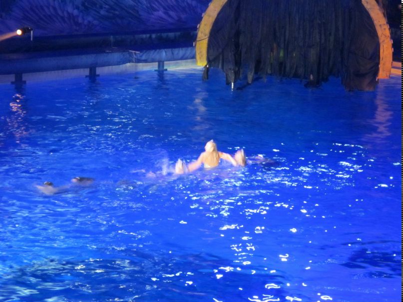 Александр Тугашов ~spensor~ | Санкт-Петербург