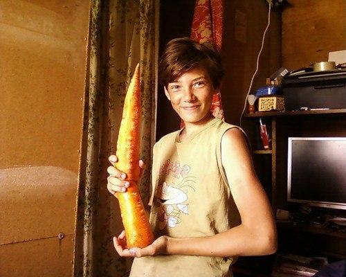 Дмитрий Трофимов | 