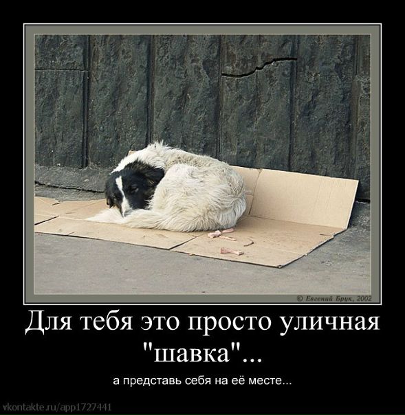 №133, Дарья Липовская, Москва №133, Дарья Липовская, Москва