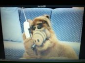 №7, Илья Альбрехт, 9.8.1981, 44 года, Phoenix, США