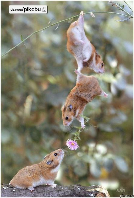 Анастасия Тимощук | Кривой Рог