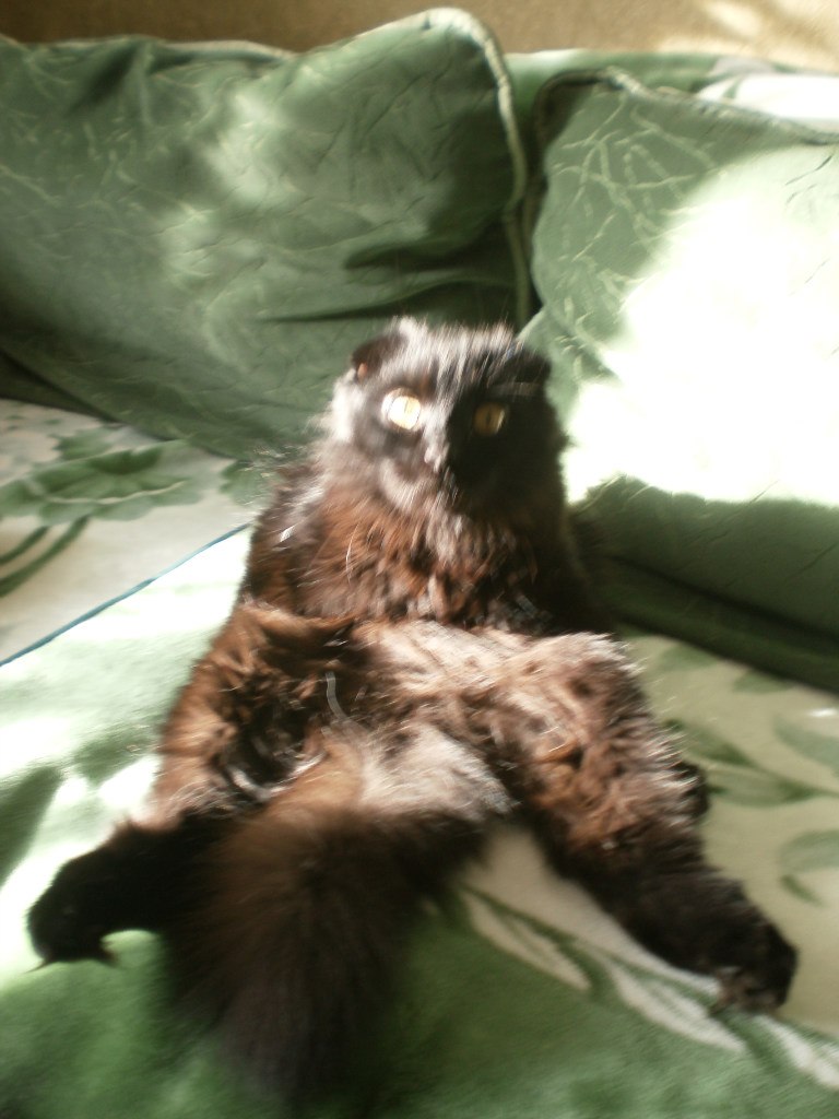 Радион Вишневский | Житомир