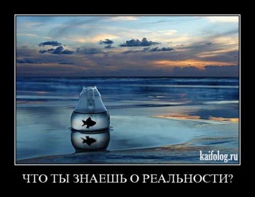 Расул Магомедов | Goa