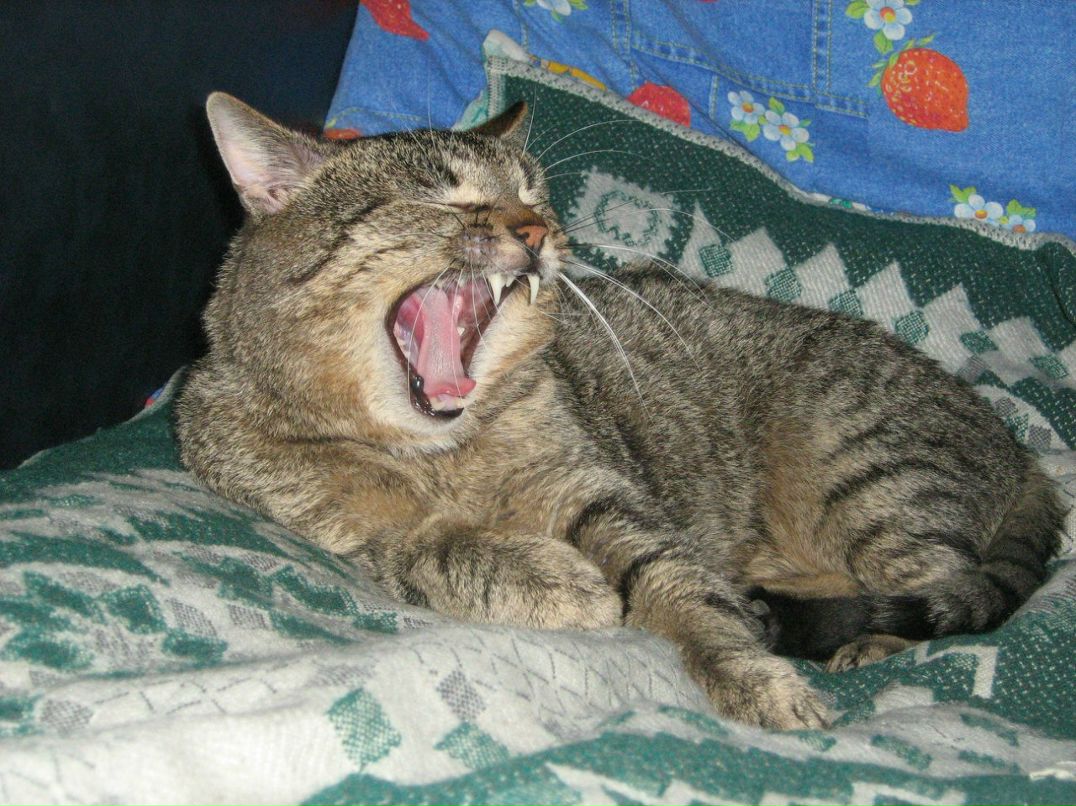 Андрей Герасимович | Гродно