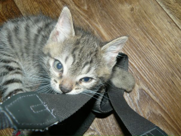 №58, Darya Cherkasskaya, Красноярск №58, Darya Cherkasskaya, Красноярск