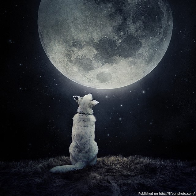 Виктория Пермякова | Йошкар-Ола