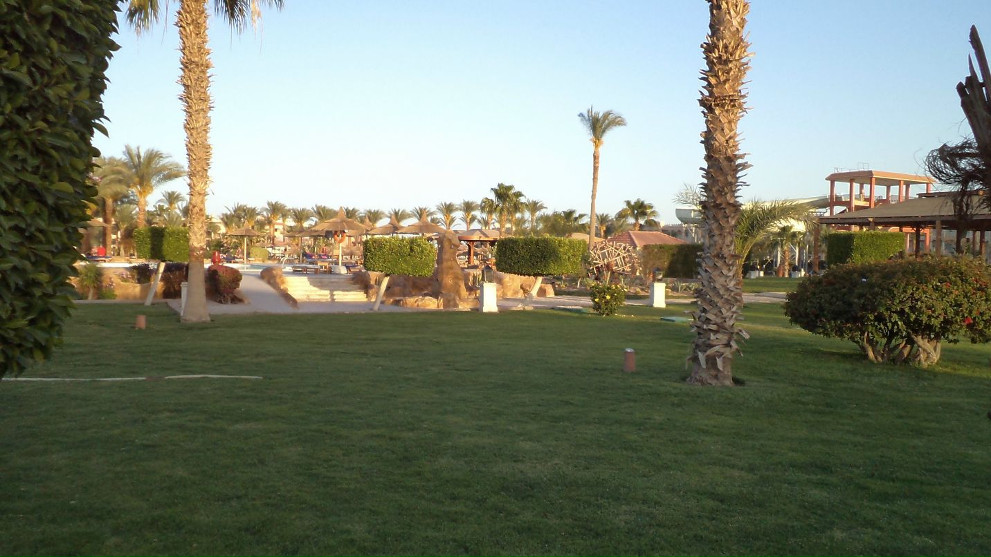 Ирина Лашина | Гатчина