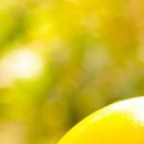 №60, Уляна Каракоцюк, Гусятин №60, Уляна Каракоцюк, Гусятин