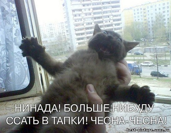 Юрий Дмитриев | Москва