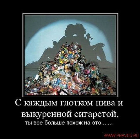 Andrey Martinov | Тула