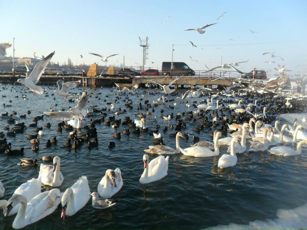 Игорь Синьков ~ Senya ~ | Одесса