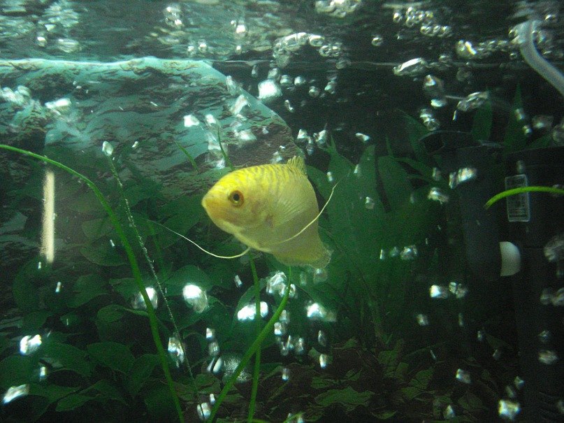 Леша Шевченко BMW™ | Одесса