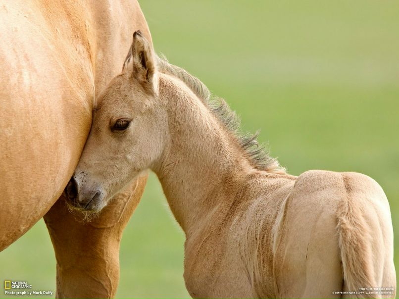 Мария Юсупова | 