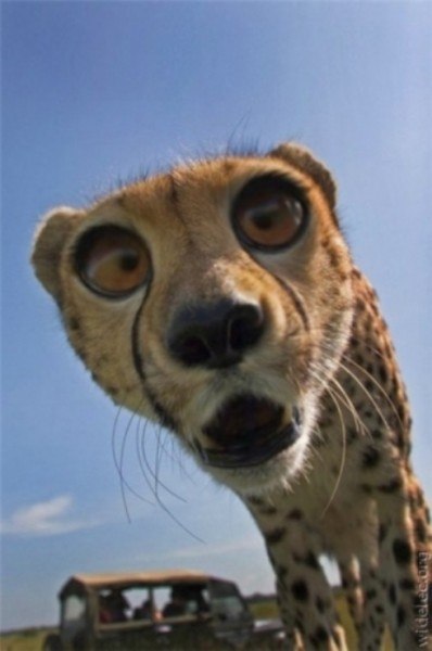 Ирина Жумбалгиева | Одесса