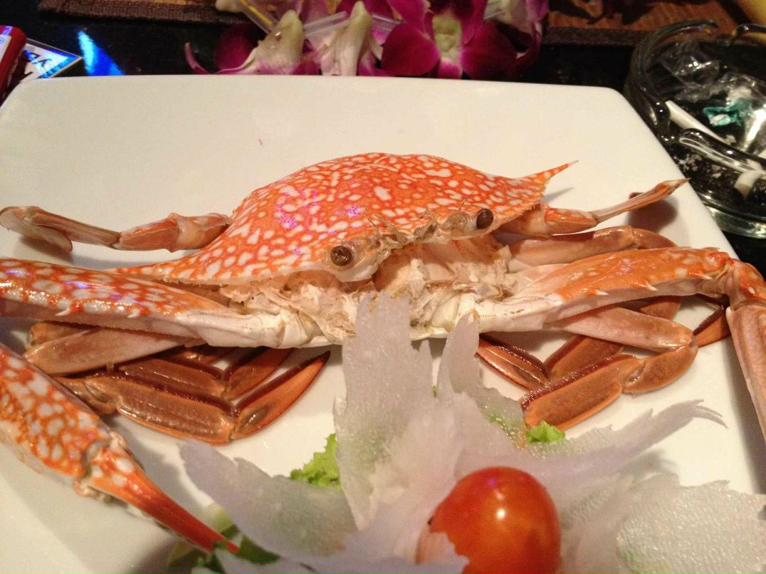 Илья Галушков | Киров