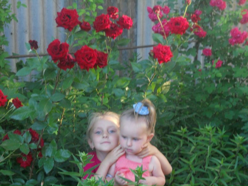 Виктория Резник | Павлоград