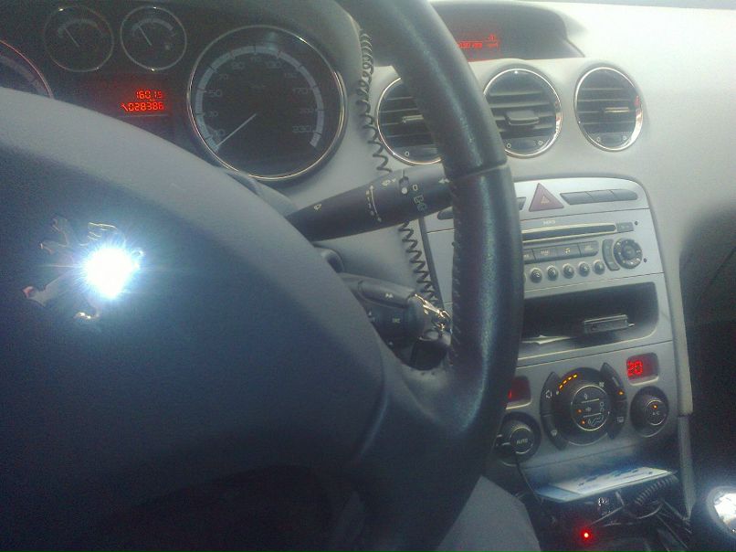 Денис Шмаков | Лесной