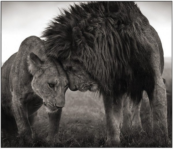 Павел Архипов | Санкт-Петербург