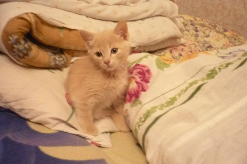 Татьяна Логинова | Сыктывкар