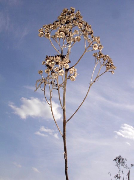 Татьяна Обухова | Москва
