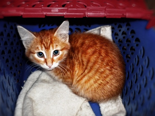 №17, ♥ Egoistka♥ №17, ♥ Egoistka♥