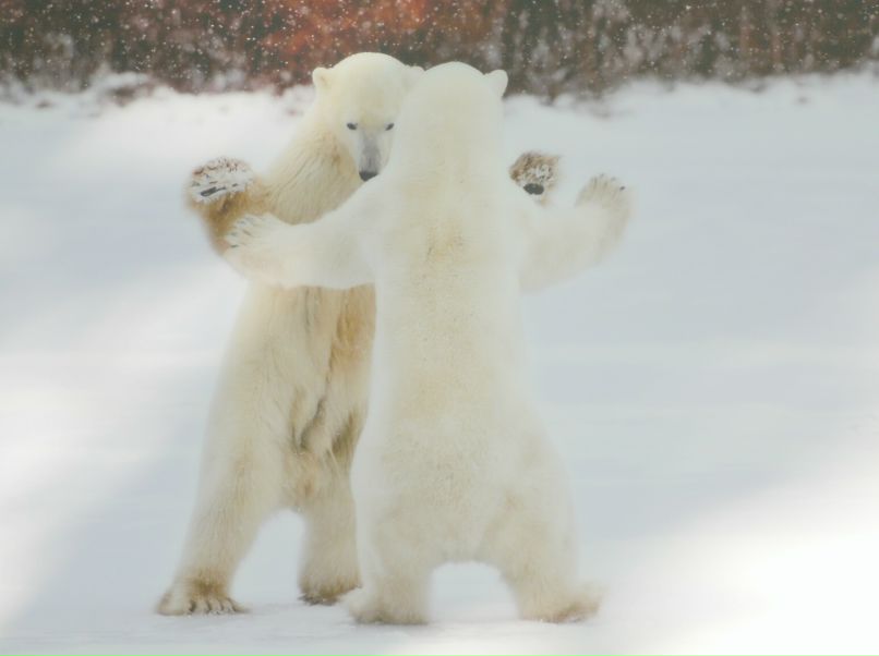 Нина Горячева | Санкт-Петербург