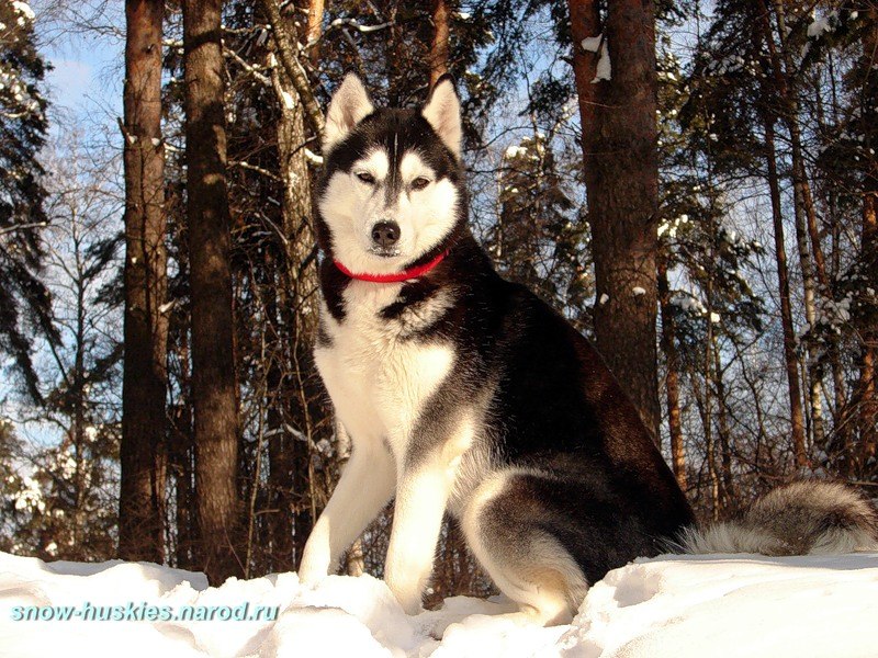 Екатерина Лим | Херсон