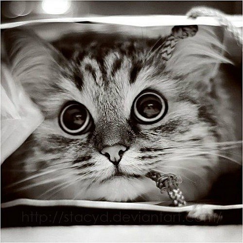 Kristinka Savlepova ツVyacheslavovna | Киев