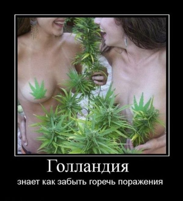 Алексей Чекаль | Днепр (Днепропетровск)