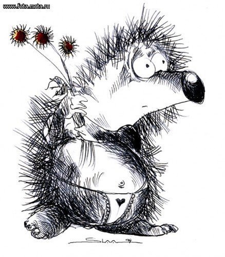 Александр Коцюба | Желтые Воды