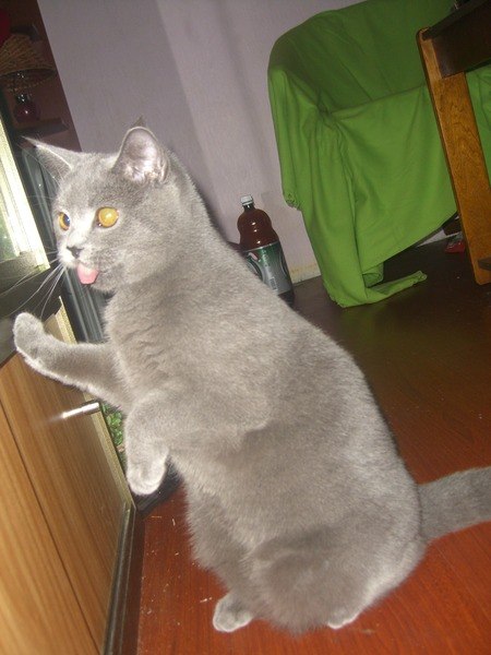 Ксения Малахова | Москва