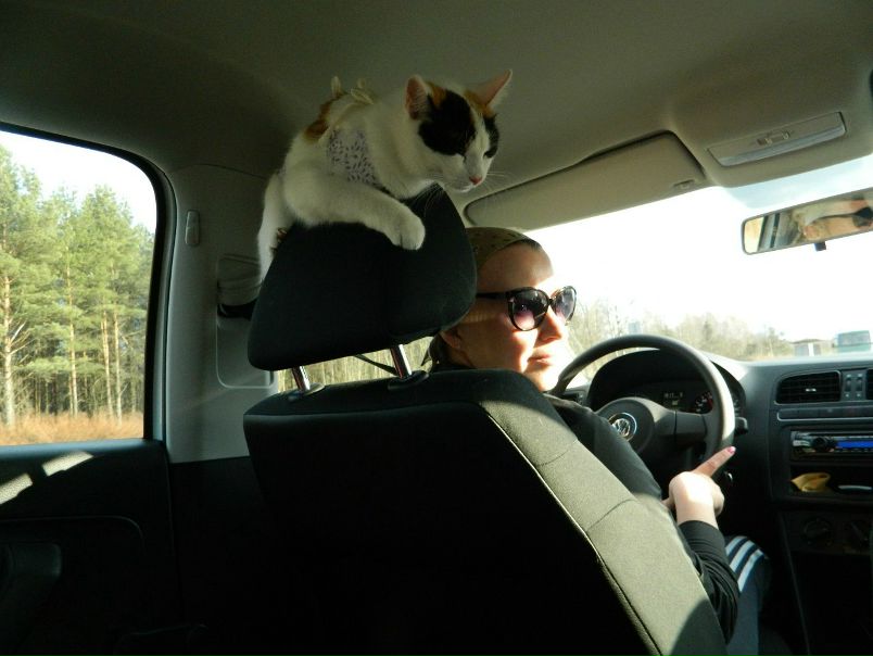 №22, Надежда Молодцова №22, Надежда Молодцова