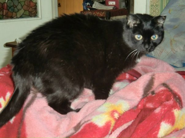 №14, Максим Поспелов №14, Максим Поспелов