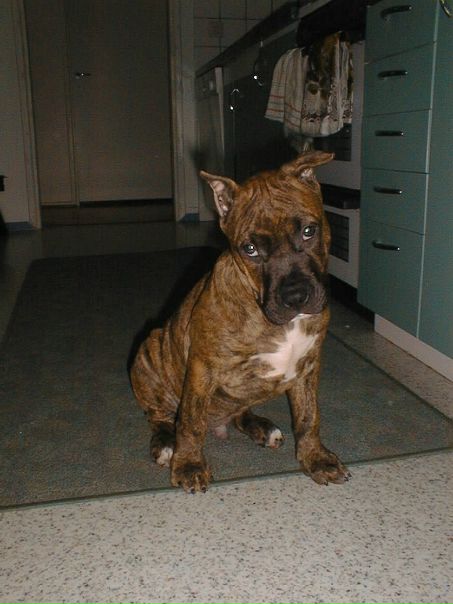 №15, Лилия Спельман, Lappeenranta №15, Лилия Спельман, Lappeenranta