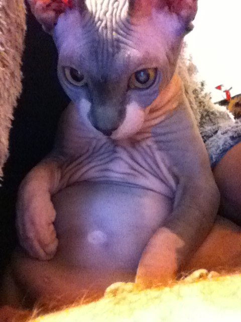 Иван Герасимов ٩(•̮̮̃•̃)۶ ٩(-̮̮̃-̃)۶(͡๏̯͡๏) | Саратов