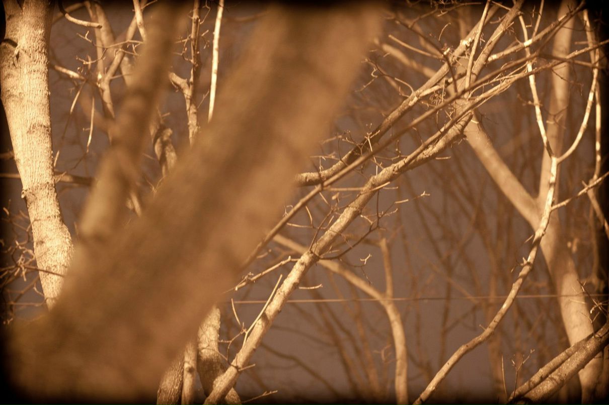 Арсений Артюх | 