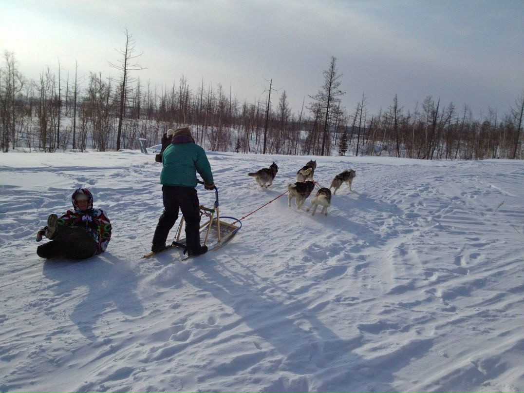 Артем Шляхтин xodzor | Москва