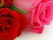 Андрей Лукин | Санкт-Петербург