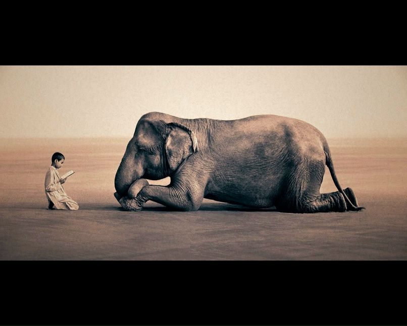 Алексей Бударин | Москва