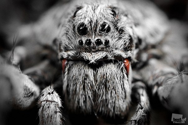 Dimjke Бычков | Москва